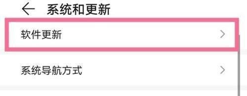 荣耀v30pro怎样升级鸿蒙系统