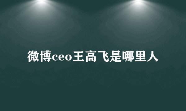 微博ceo王高飞是哪里人