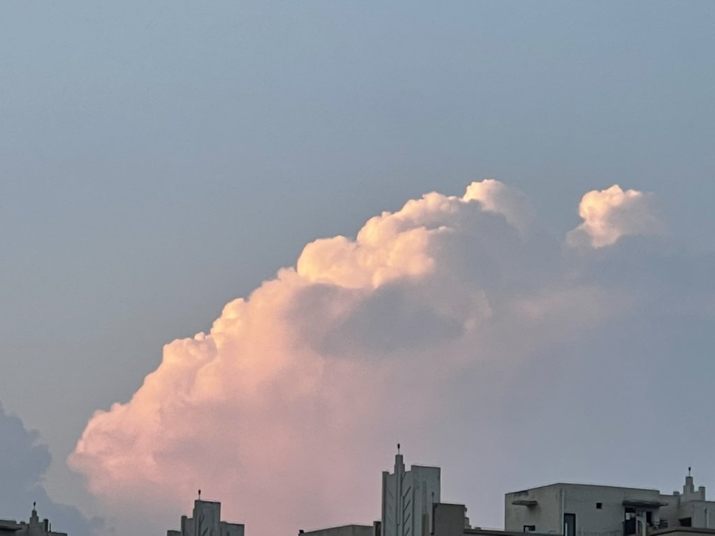 找小说 很早的一部穿越一女多男的小说？