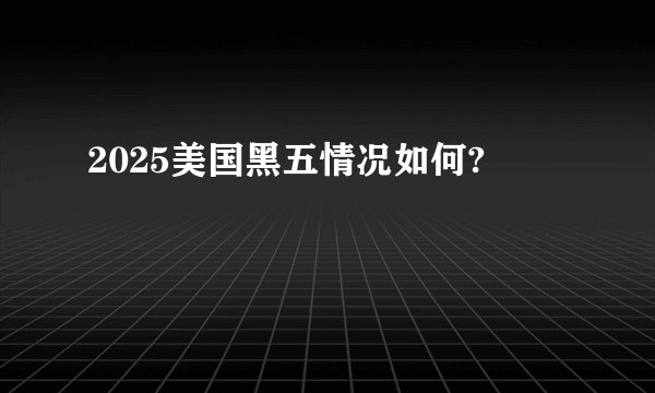 2025美国黑五情况如何?