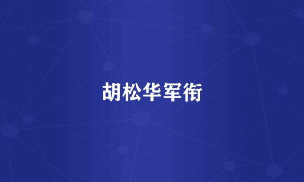 胡松华军衔