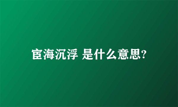 宦海沉浮 是什么意思?
