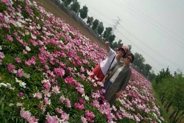 满脸生花的意思是什么