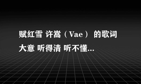 赋红雪 许嵩（Vae） 的歌词大意 听得清 听不懂啊 求高人指导