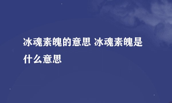 冰魂素魄的意思 冰魂素魄是什么意思