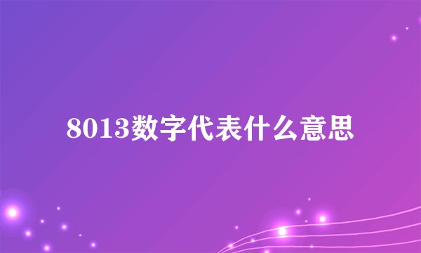 8013数字代表什么意思