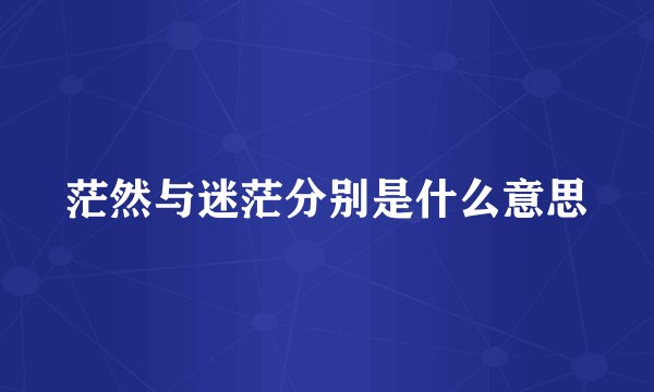茫然与迷茫分别是什么意思