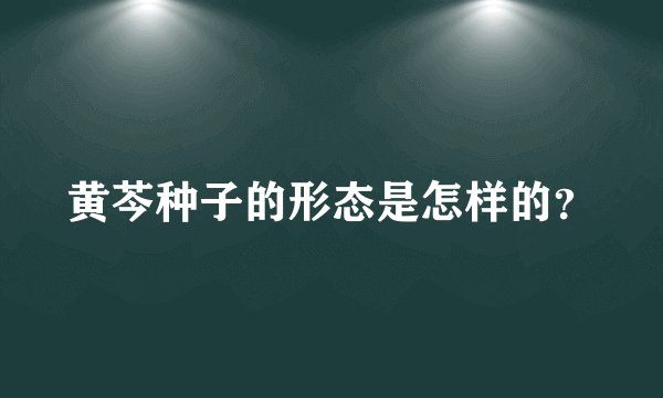 黄芩种子的形态是怎样的？