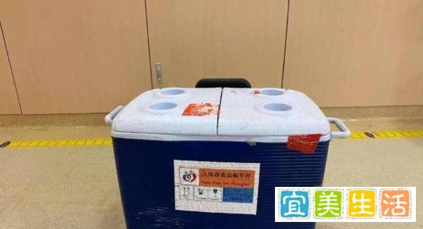 川航回应移植器官箱需另购票 这是咋情况？