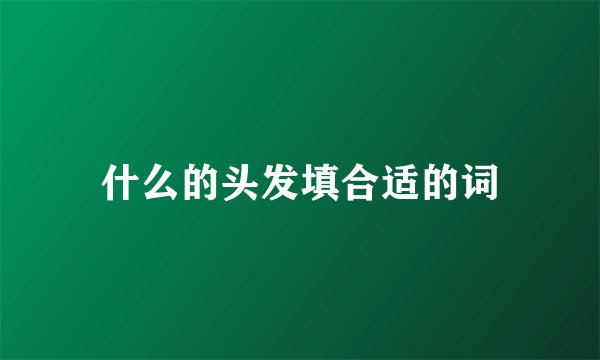 什么的头发填合适的词