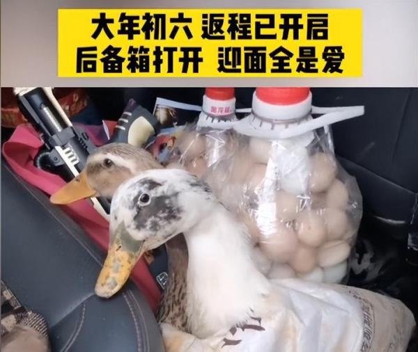 爱的“后备箱”：塞了7个烂石榴，家的味道，永不过期！