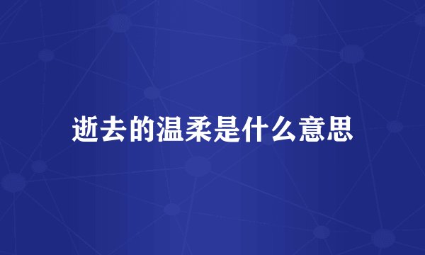 逝去的温柔是什么意思