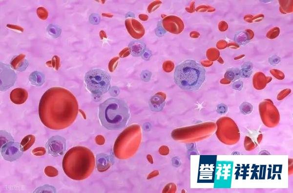 英国因高温进入国家紧急状态，热射病为何会大出血而死？