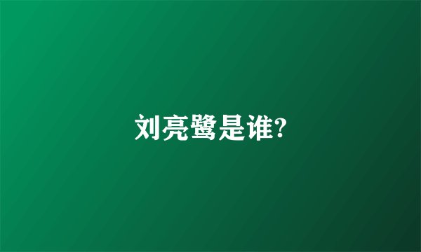 刘亮鹭是谁?