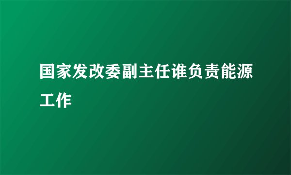 国家发改委副主任谁负责能源工作