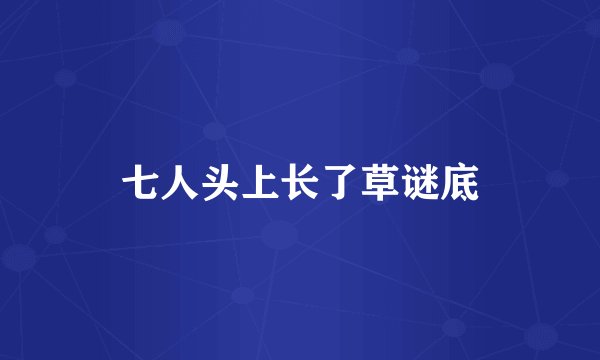 七人头上长了草谜底