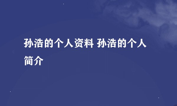 孙浩的个人资料 孙浩的个人简介