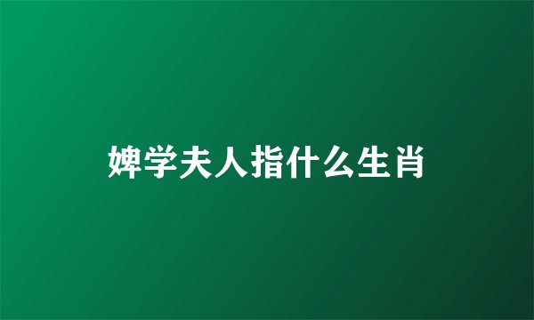 婢学夫人指什么生肖