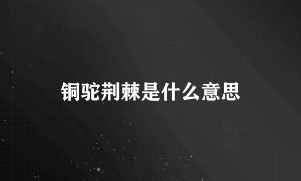 铜驼荆棘是什么意思