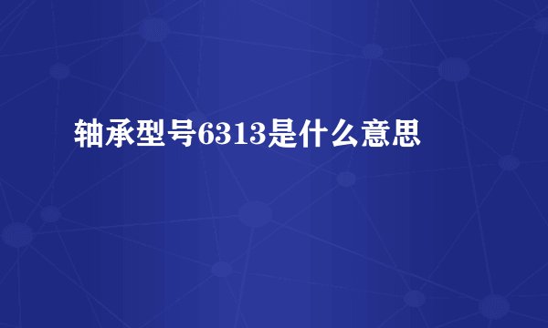 轴承型号6313是什么意思