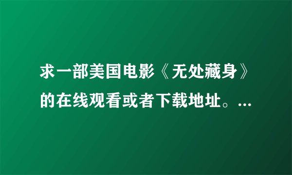 求一部美国电影《无处藏身》的在线观看或者下载地址。 不是韩版与国产的。