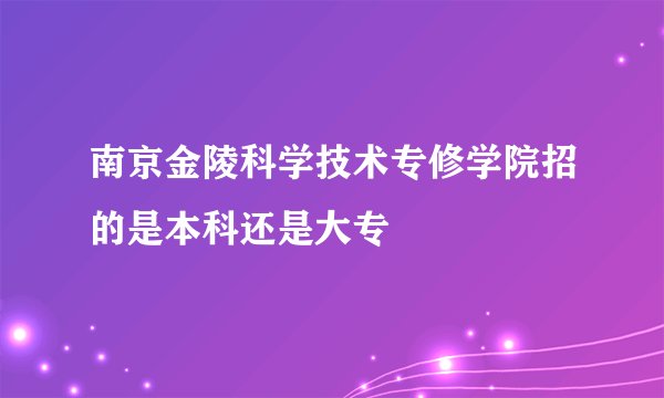 南京金陵科学技术专修学院招的是本科还是大专