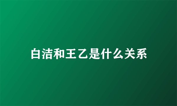 白洁和王乙是什么关系