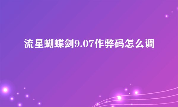 流星蝴蝶剑9.07作弊码怎么调