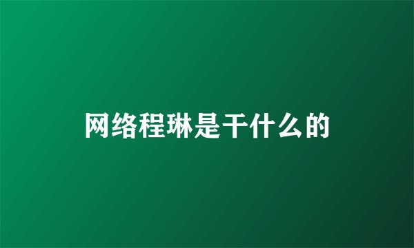 网络程琳是干什么的