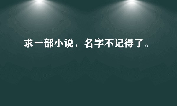 求一部小说，名字不记得了。
