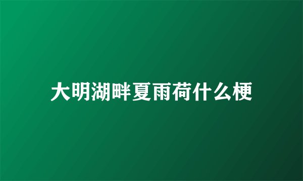 大明湖畔夏雨荷什么梗