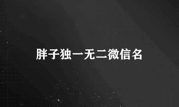 胖子独一无二微信名