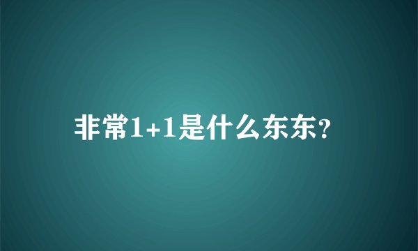 非常1+1是什么东东？