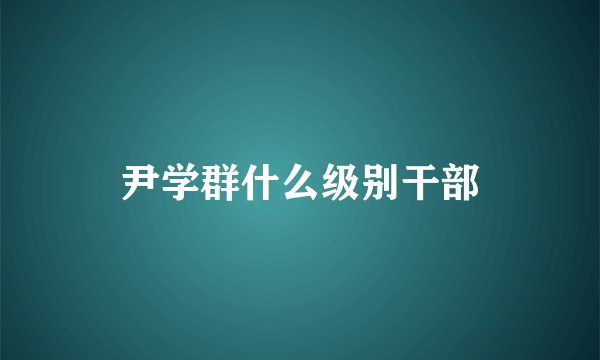尹学群什么级别干部