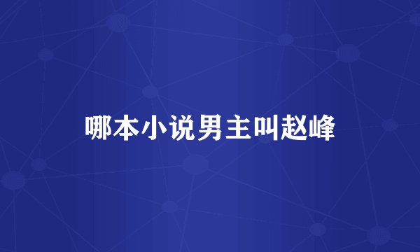 哪本小说男主叫赵峰