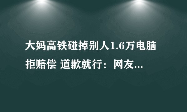 大妈高铁碰掉别人1.6万电脑拒赔偿 道歉就行：网友吐槽倚老卖老：官方回应