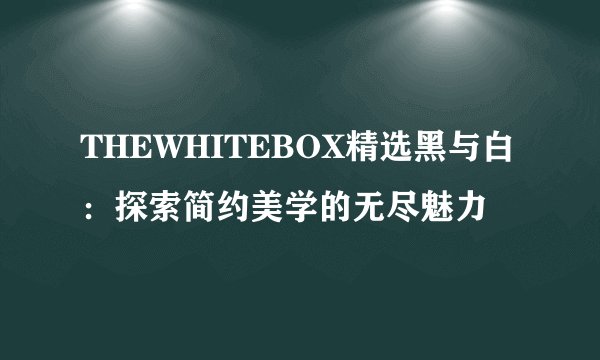 THEWHITEBOX精选黑与白：探索简约美学的无尽魅力