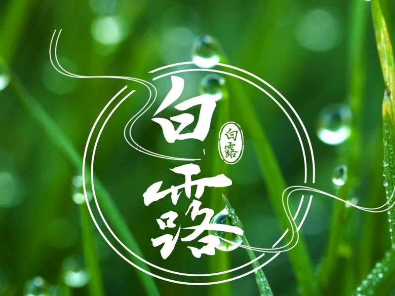 白露的三大忌讳