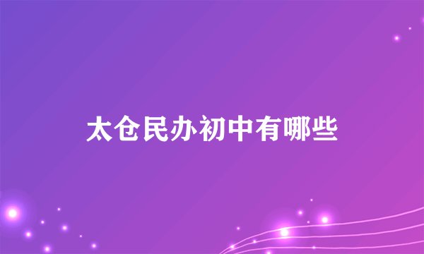 太仓民办初中有哪些