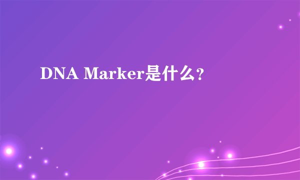 DNA Marker是什么？