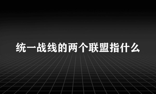 统一战线的两个联盟指什么