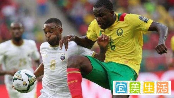 非洲杯 喀麦隆vs科摩罗 喀麦隆实力强劲 科摩罗恐遭大败