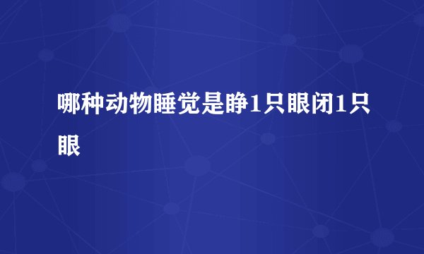 哪种动物睡觉是睁1只眼闭1只眼