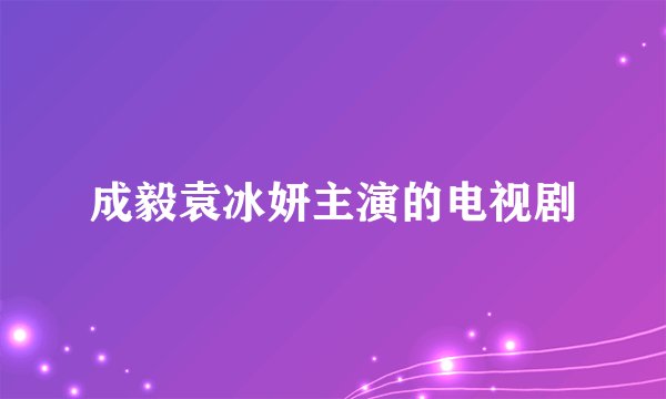 成毅袁冰妍主演的电视剧