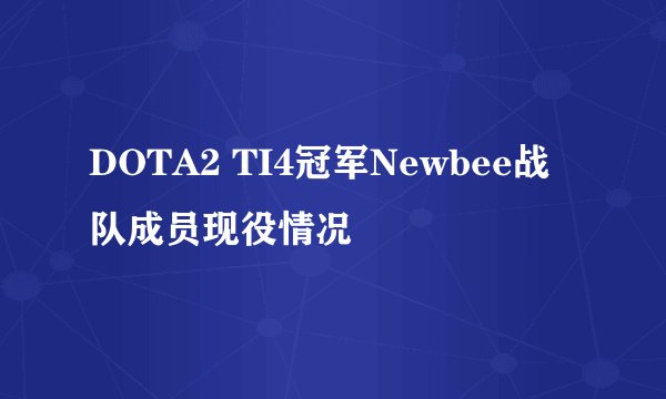 DOTA2 TI4冠军Newbee战队成员现役情况