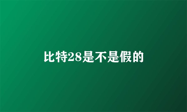 比特28是不是假的