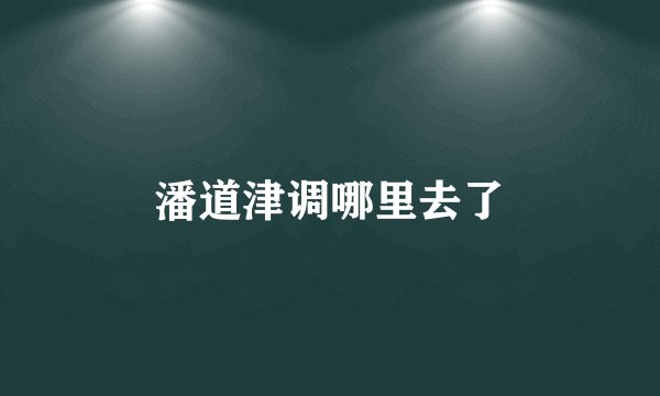 潘道津调哪里去了