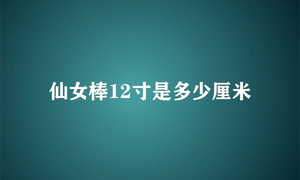 仙女棒12寸是多少厘米