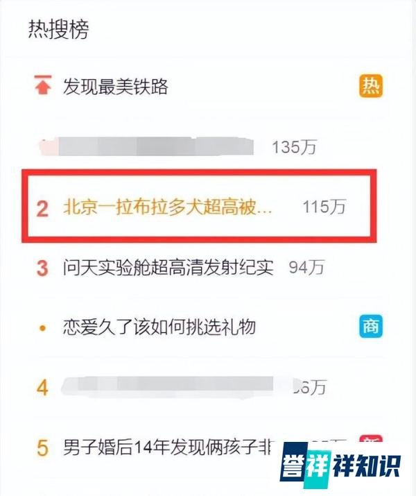 冲上热搜！北京一拉布拉多犬被没收：肩高约80厘米！饲养“汪星人”你需要知道这些事……