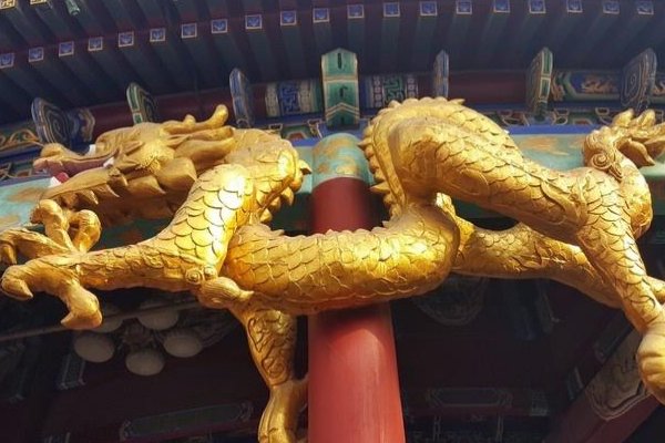 朋党之争是什么生肖?